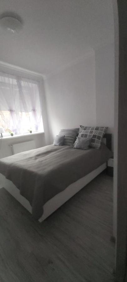 Apartament U Eli Stronie Śląskie Zewnętrze zdjęcie